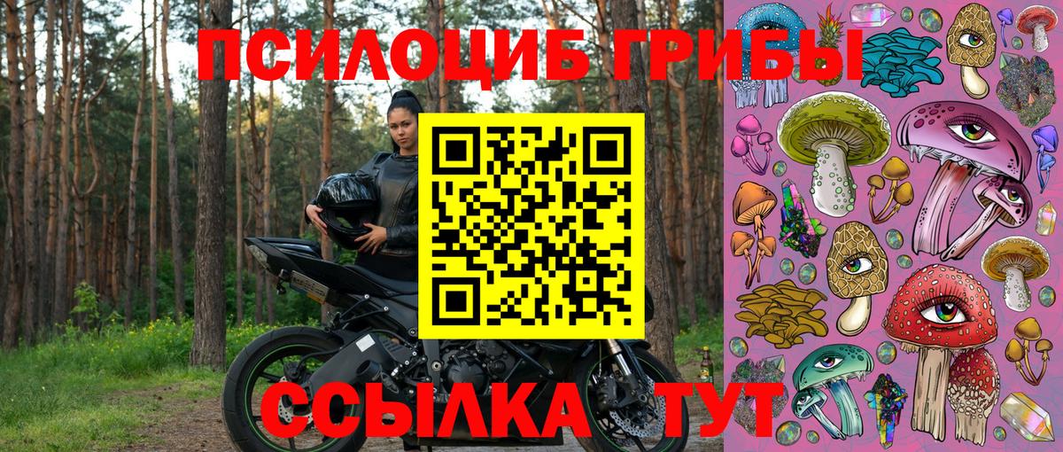 Псилоцибиновые грибы Cubensis Малоярославец