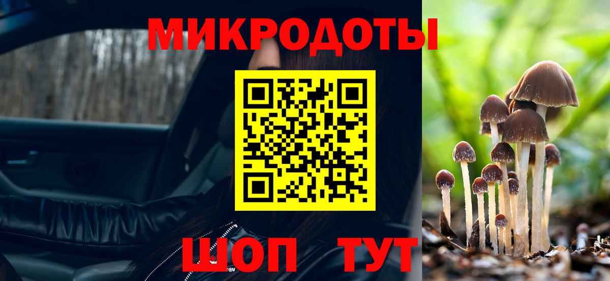 Малоярославец  Псилоцибиновые грибы мухоморы  Вход с VPN 
